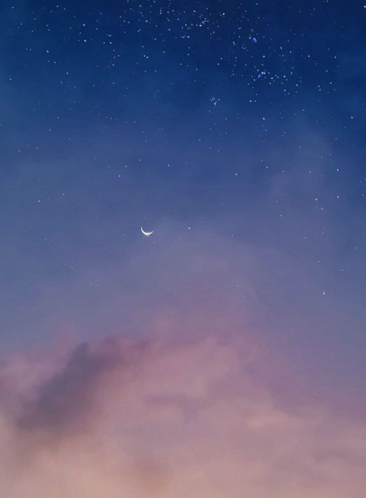 桃花全攻略：星盤深度解析